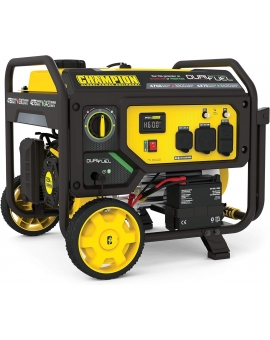 Champion Power Equipment 3800-Watt Electric Start Dual Fuel RV Ready Portable Generator