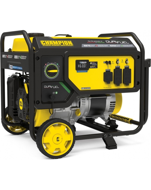 Champion Power Equipment Generator Dual Fuel Portable with CO Shield 5500 Watt