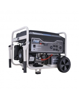 Pulsar Products Generator 120/240V 6580W 274 cc 4 Stroke Gasoline Portable
