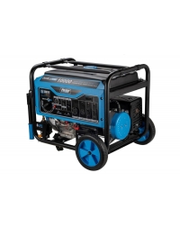 Pulsar Products 10000 Watt Dual Fuel Generator with Remote Start