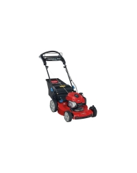 Toro SMARTSTOW Personal Pace Auto Drive Lawn Mower with Bagger 22in