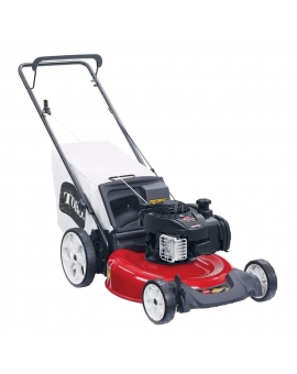 Toro Recycler High Wheel Gas Walk Behind Push Bagging Lawn Mower